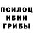 Псилоцибиновые грибы Cubensis Sign Future