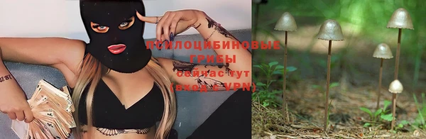 эйфоретик Белокуриха