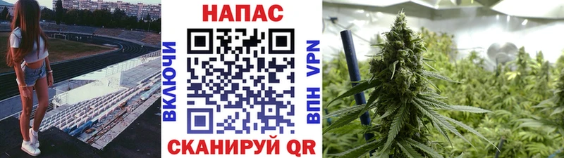 Марихуана SATIVA & INDICA  OMG   Зверево 